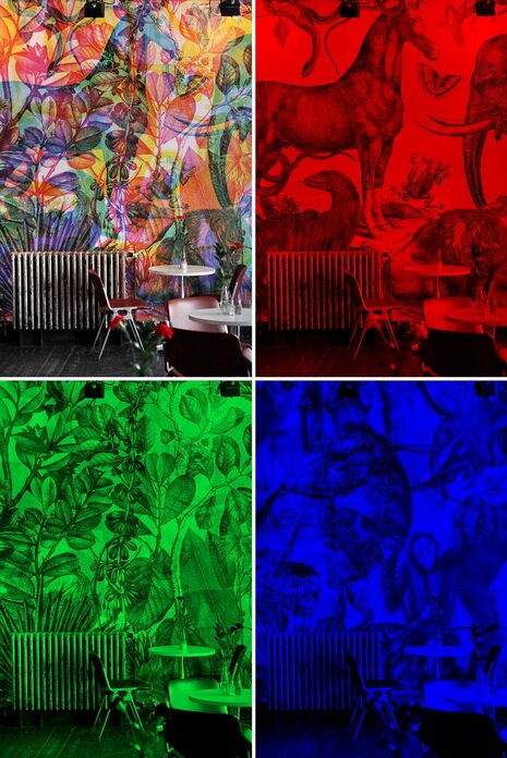 Рисунок меняется от света Как выглядит одна и та же картинка при разном освещении