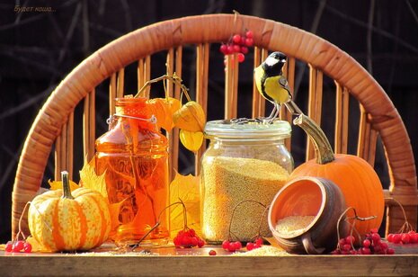 Все для приготовления каши с тыквой Пшеничная каша с тыквой