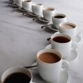 Виды кофемашин и кофеварок: френч-пресс, капельные, гейзерные, кофеварки эспрессо. История создания, принцип действия, достоинства и недостатки.